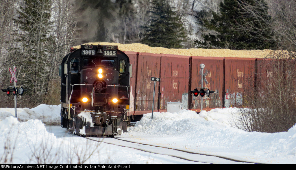 SFG 1865 leads train 565 in Nouvelle